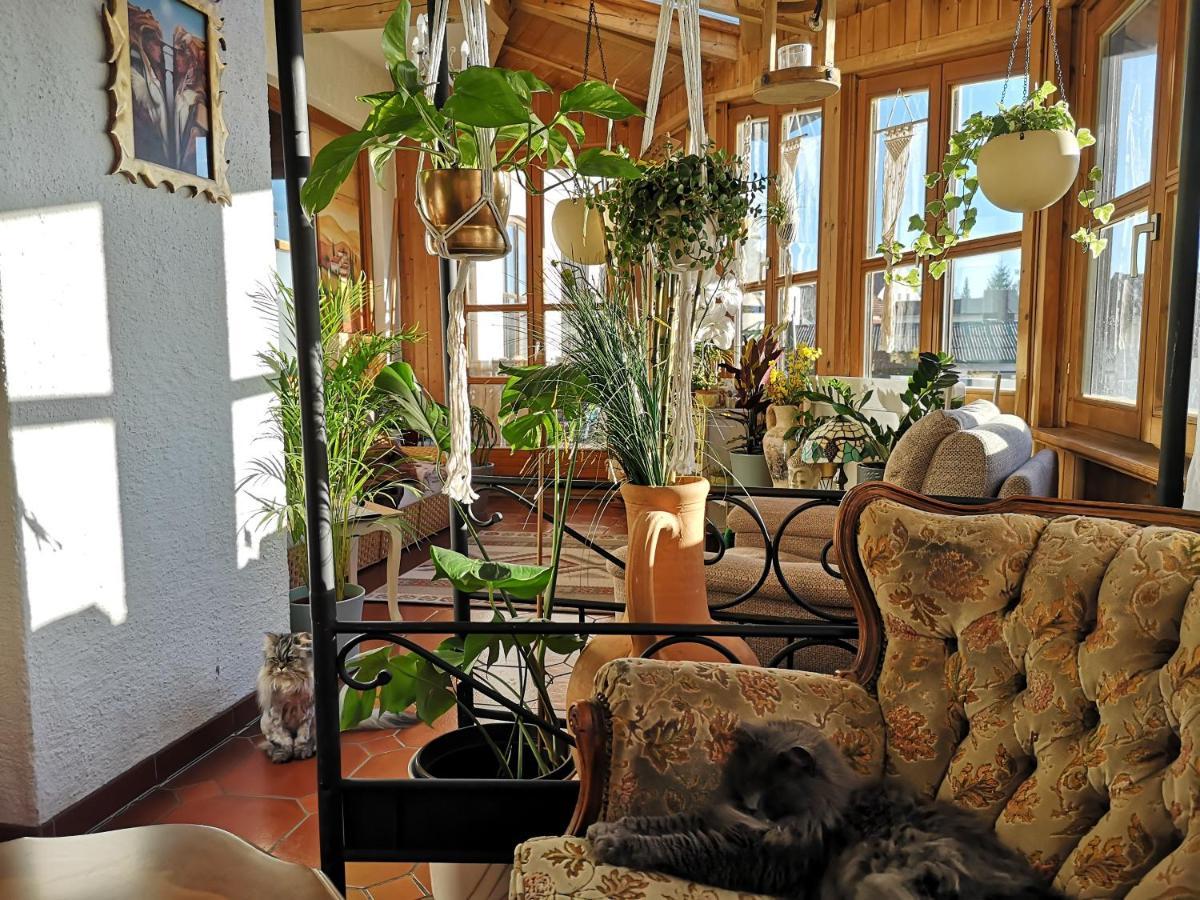 Edel Weiss Gaestezimmer Furstenstein Ngoại thất bức ảnh